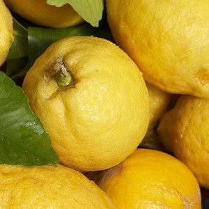 limoni