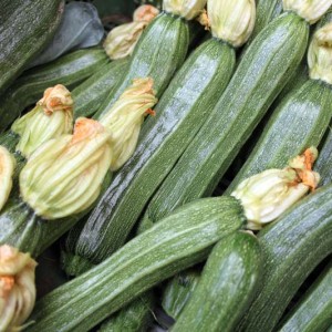 zucchine