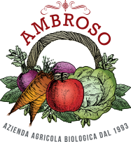 Ambroso